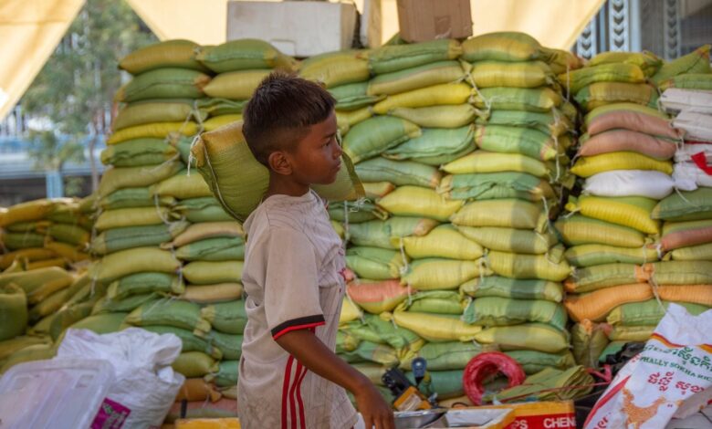 Los niños, las primeras víctimas de la insalubridad de los alimentos en el mundo Los niños, las primeras víctimas de la insalubridad de los alimentos en el mundo